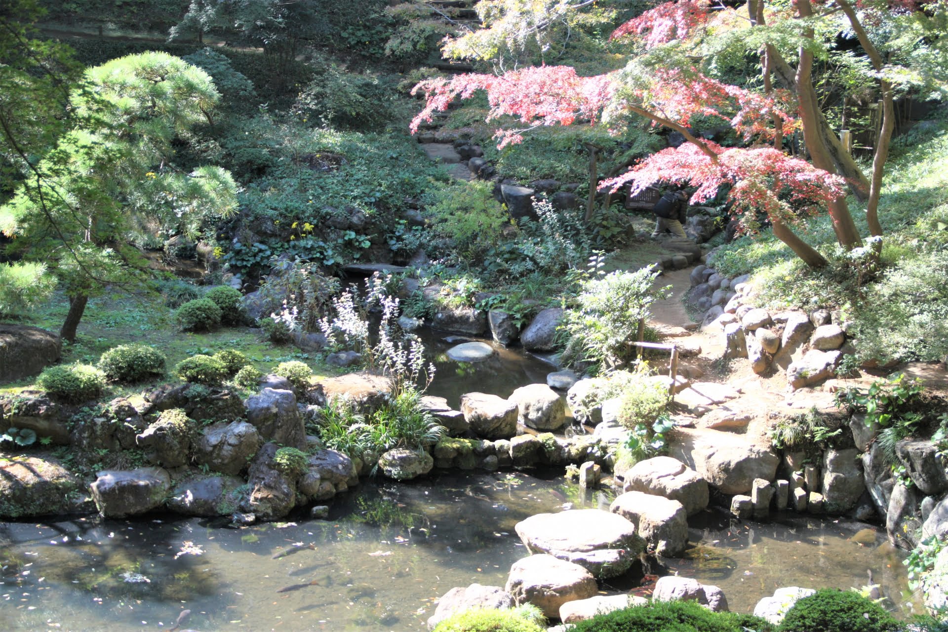 国分寺 殿ヶ谷戸庭園