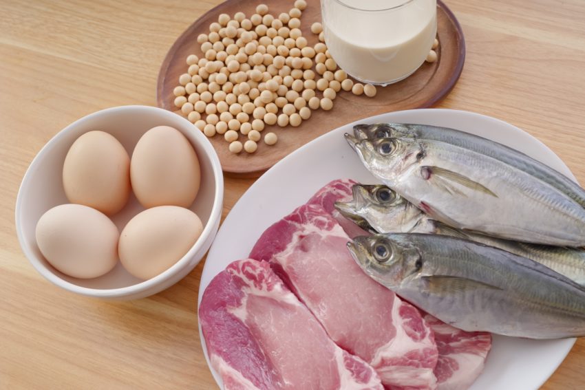 高タンパクな食材